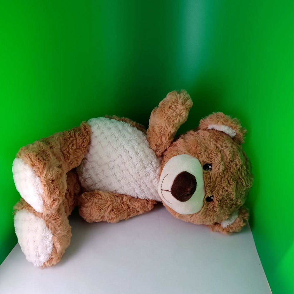 Cute Brown and White Teddy Bear - Picture 2 of 8